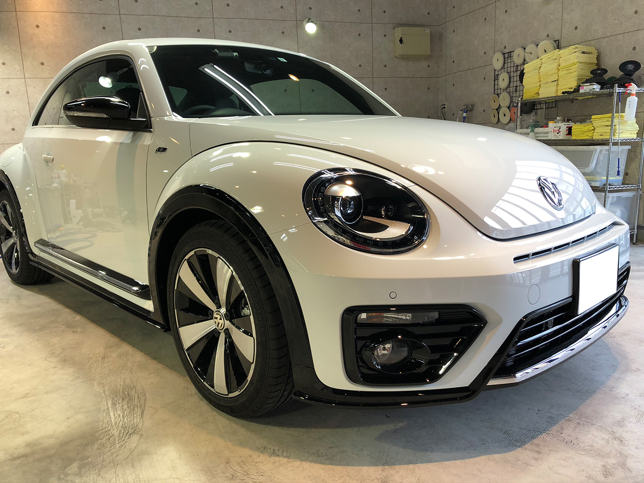 beetle_white_001