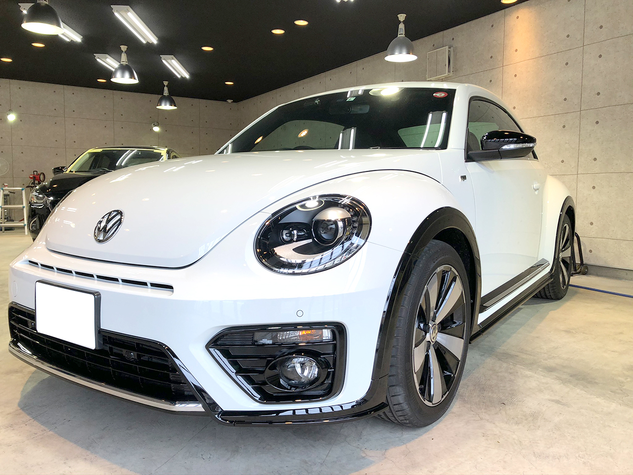 beetle_white_003