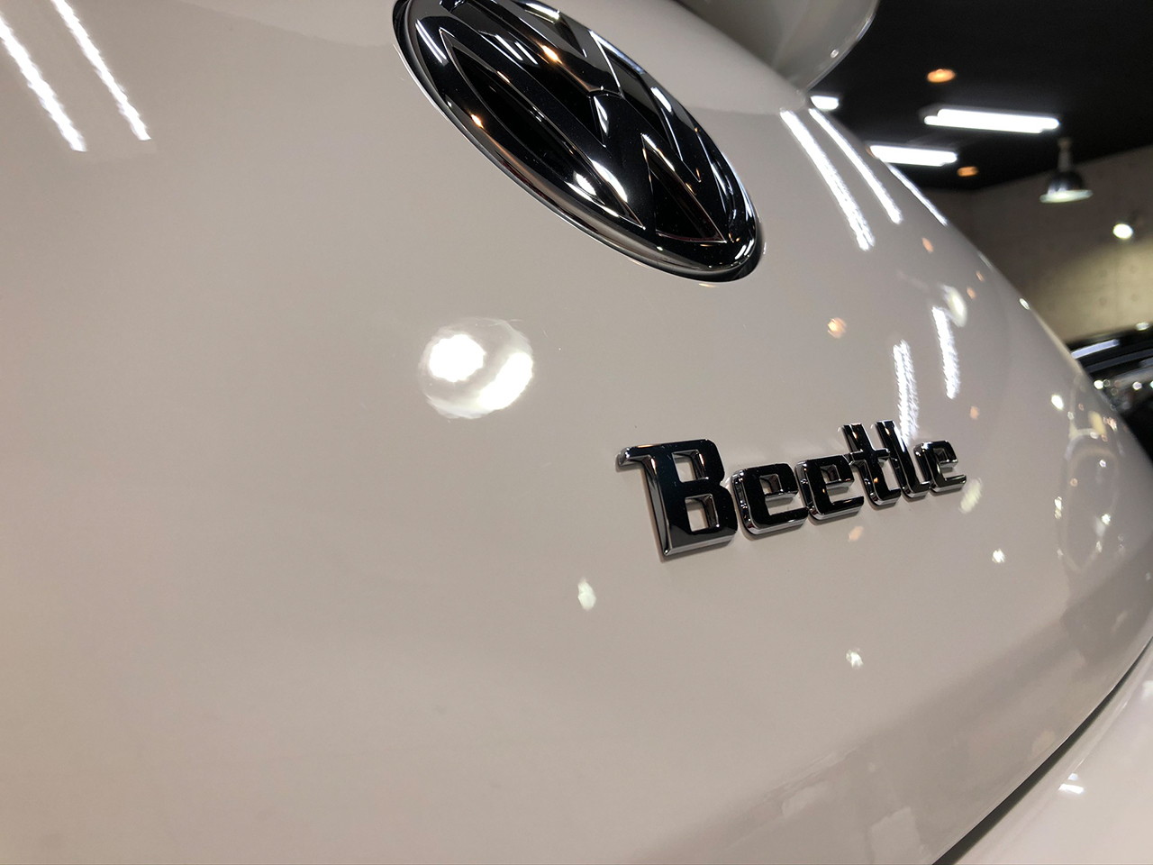 beetle_white_006